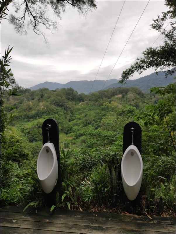 фото приколы