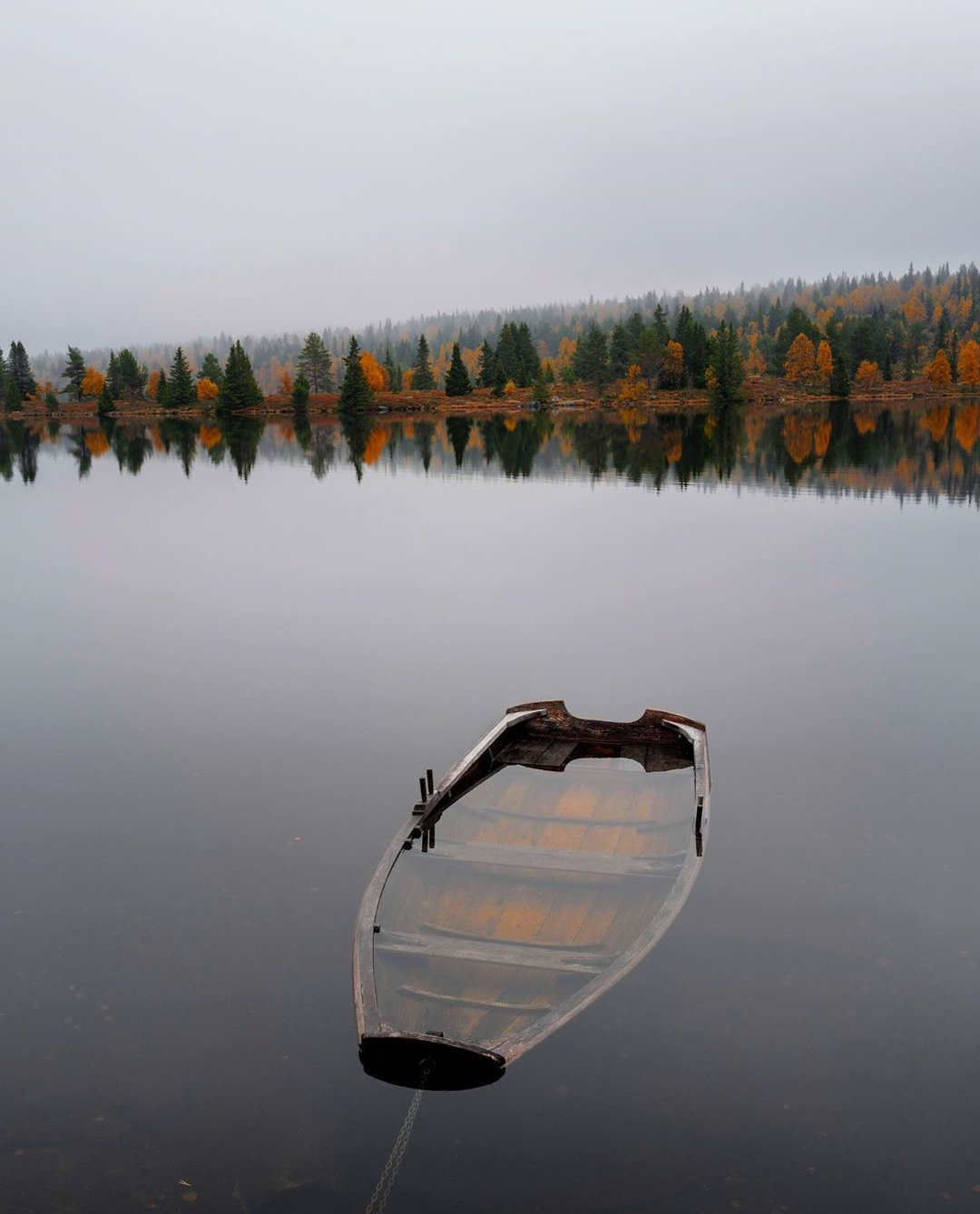 фото приколы