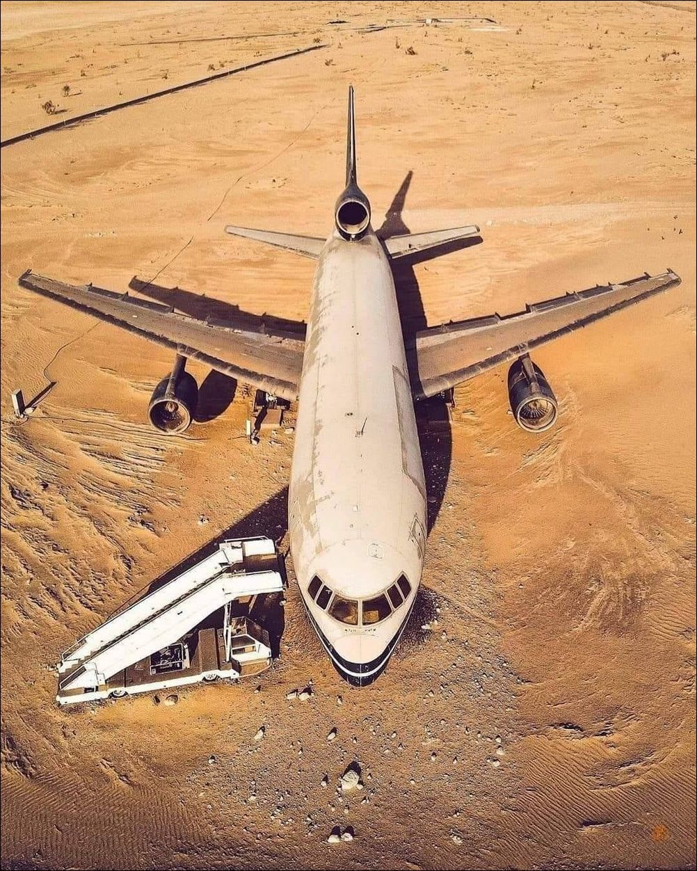 фото приколы