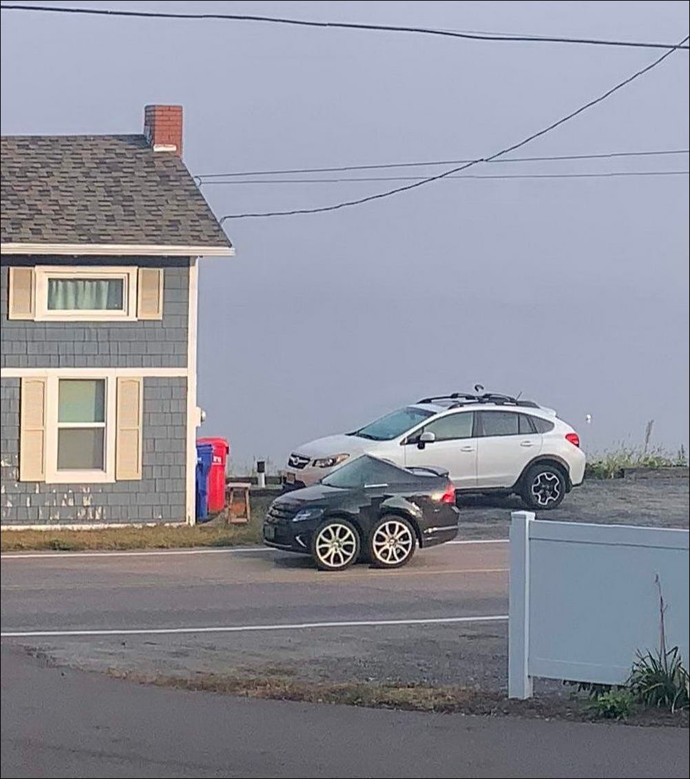 фото приколы