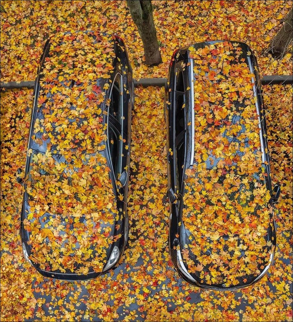 фото приколы