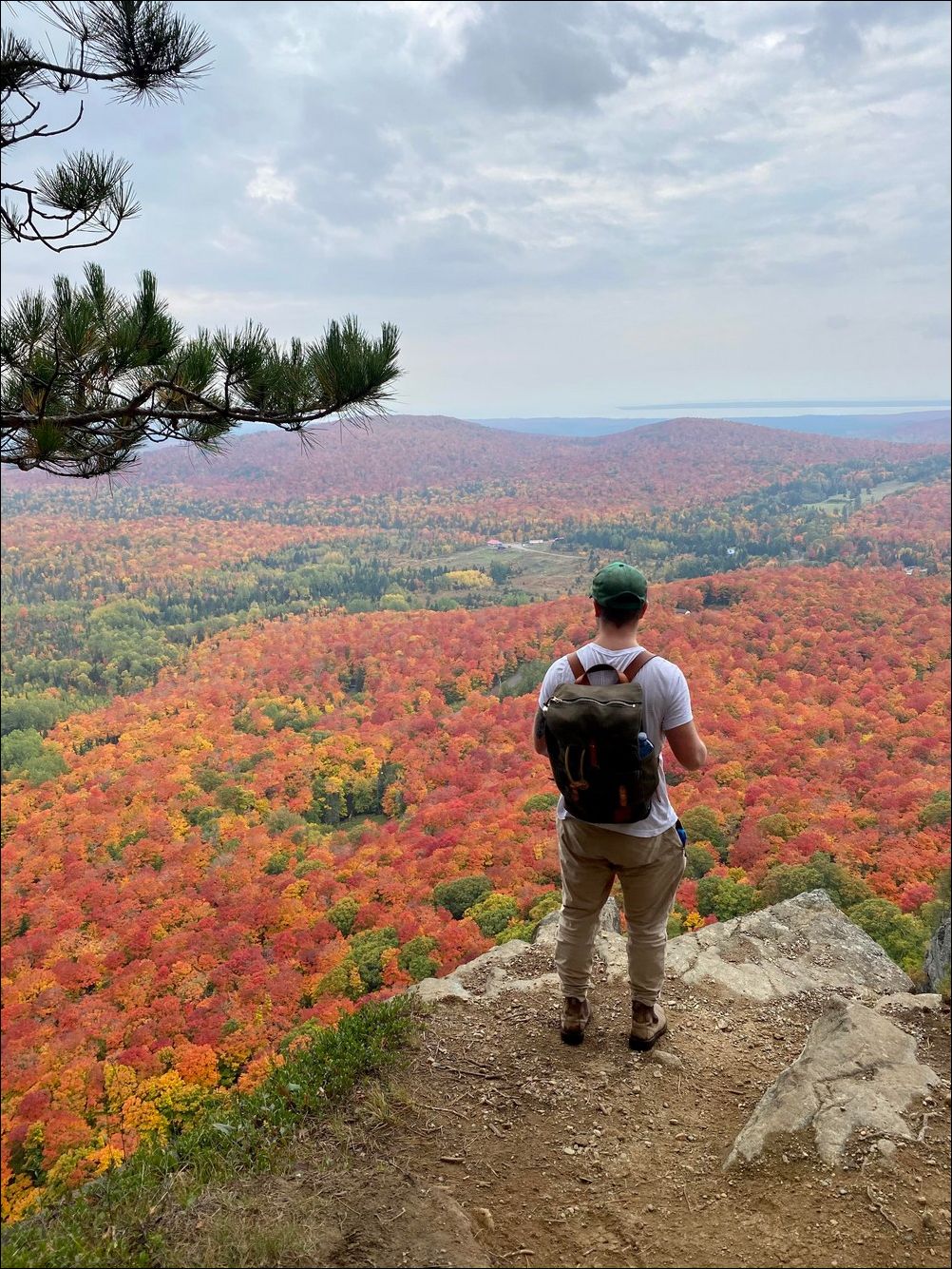 фото приколы