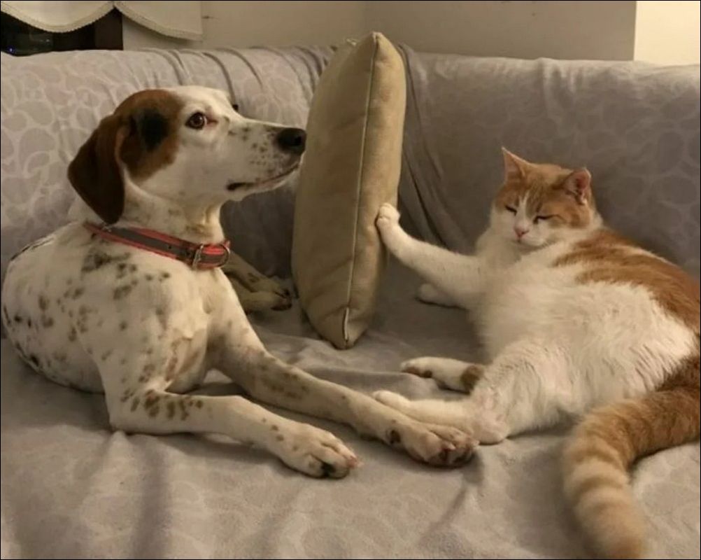 фото приколы