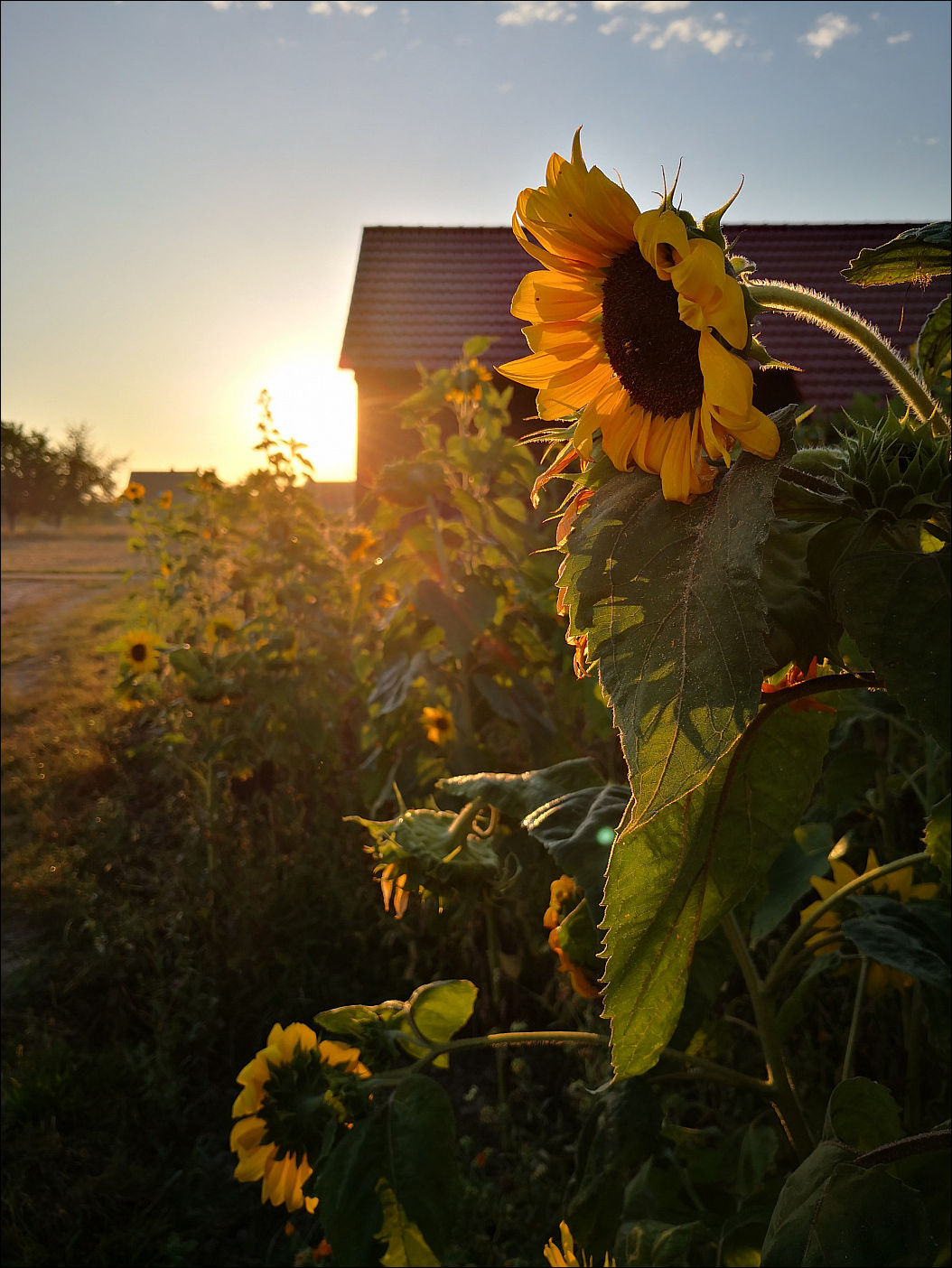 фото приколы