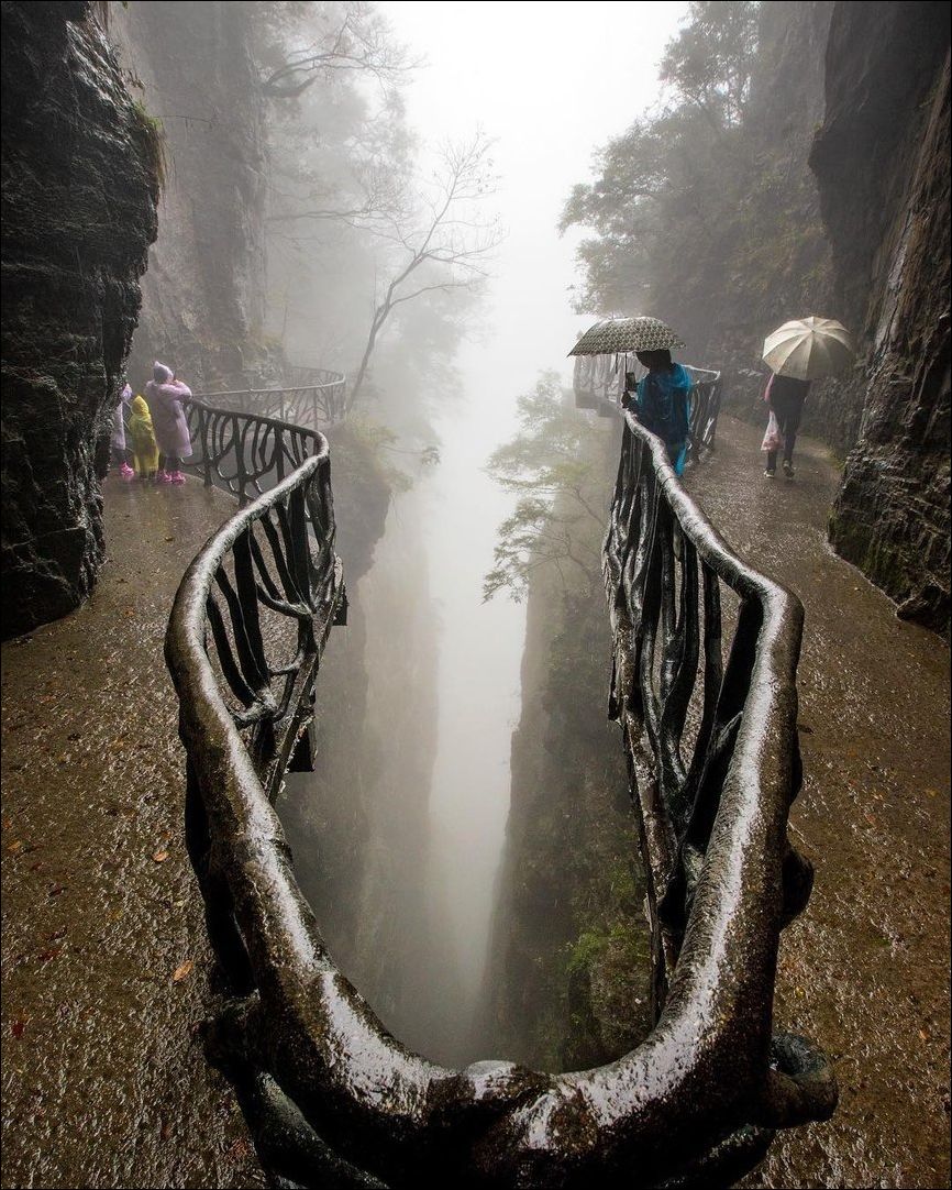 фото приколы