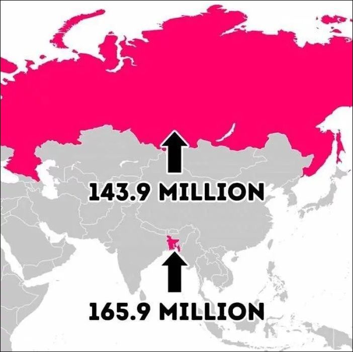 фото приколы