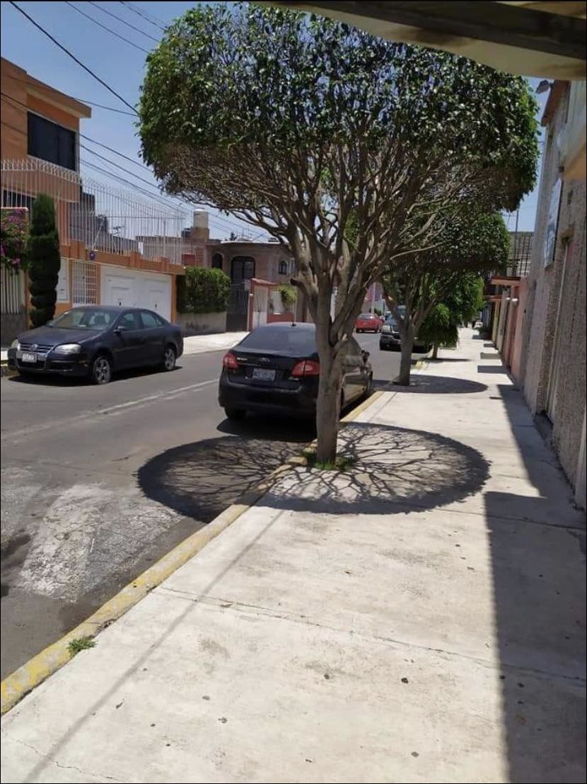 фото приколы