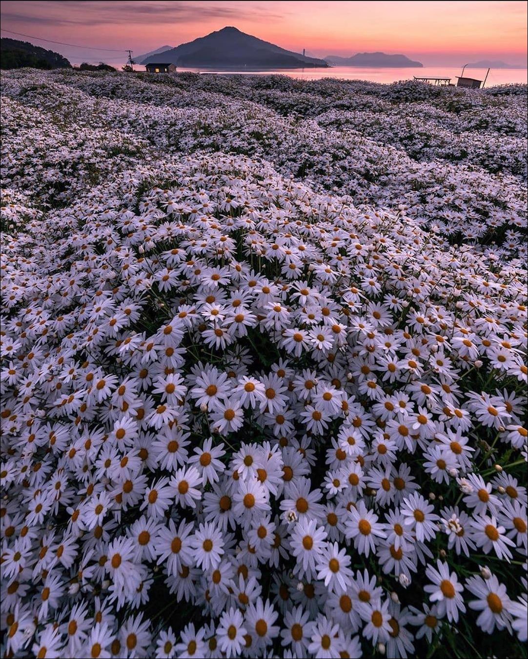 фото приколы