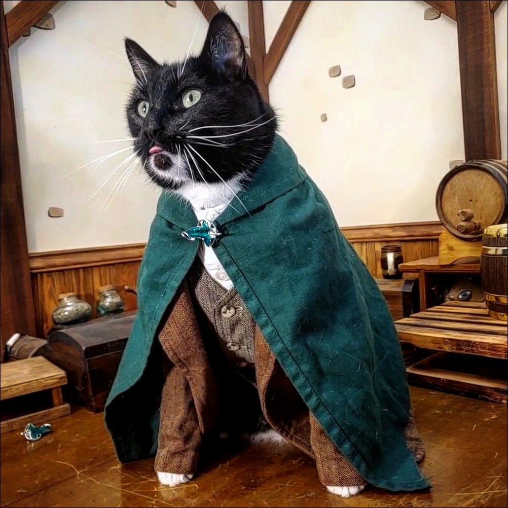 фото приколы