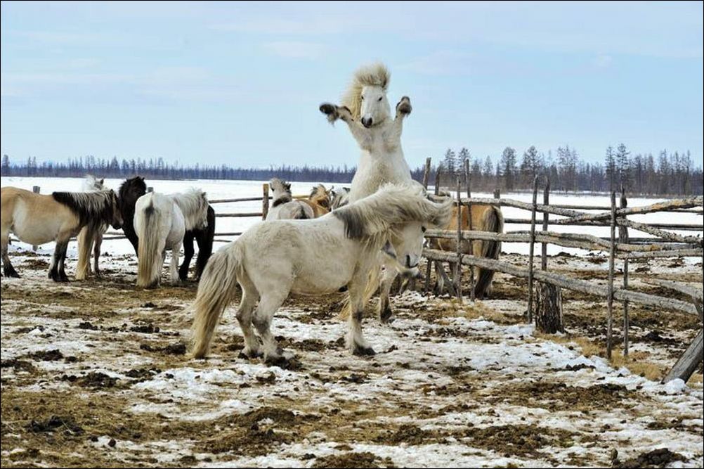 фото приколы