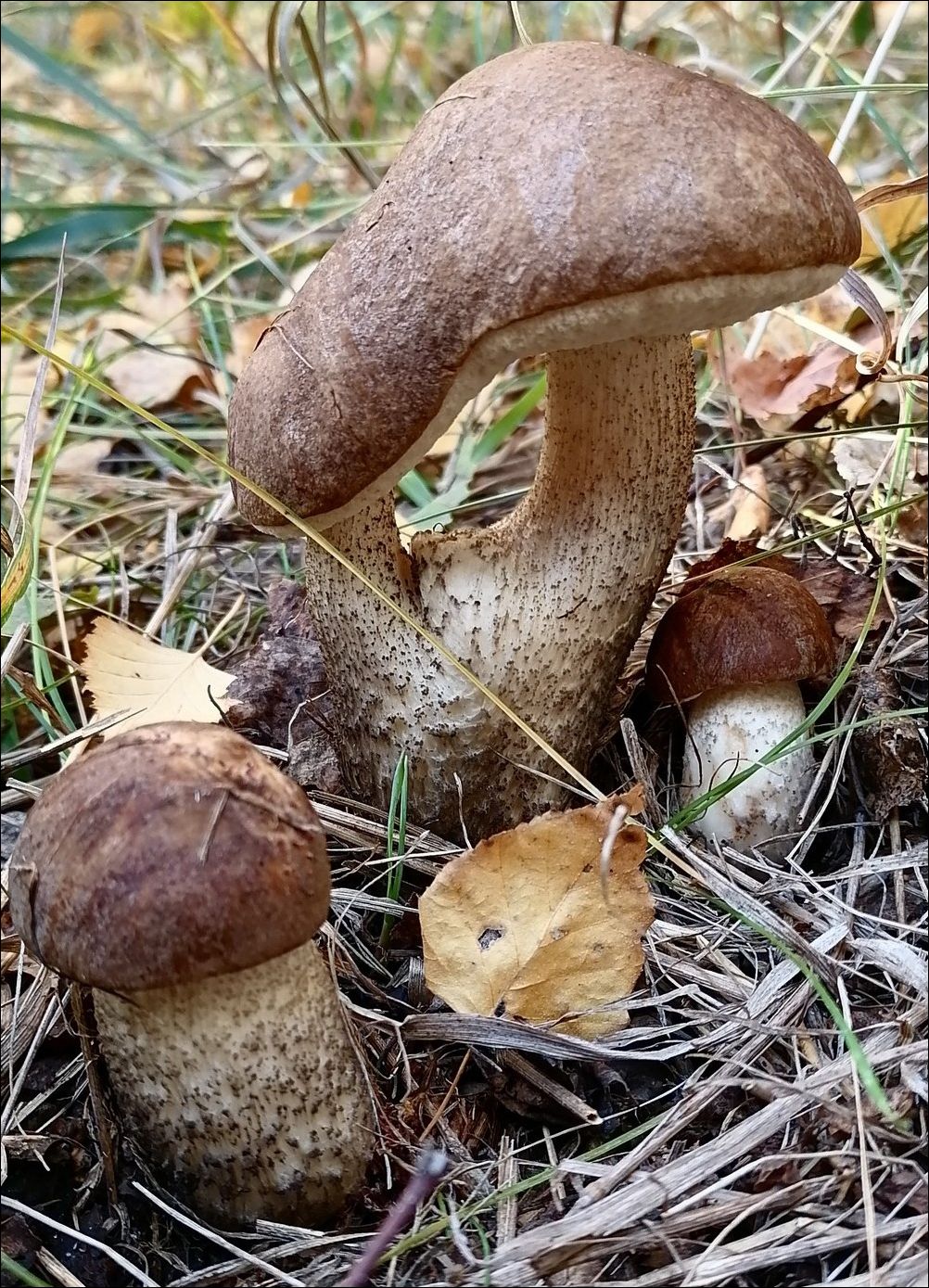 фото приколы