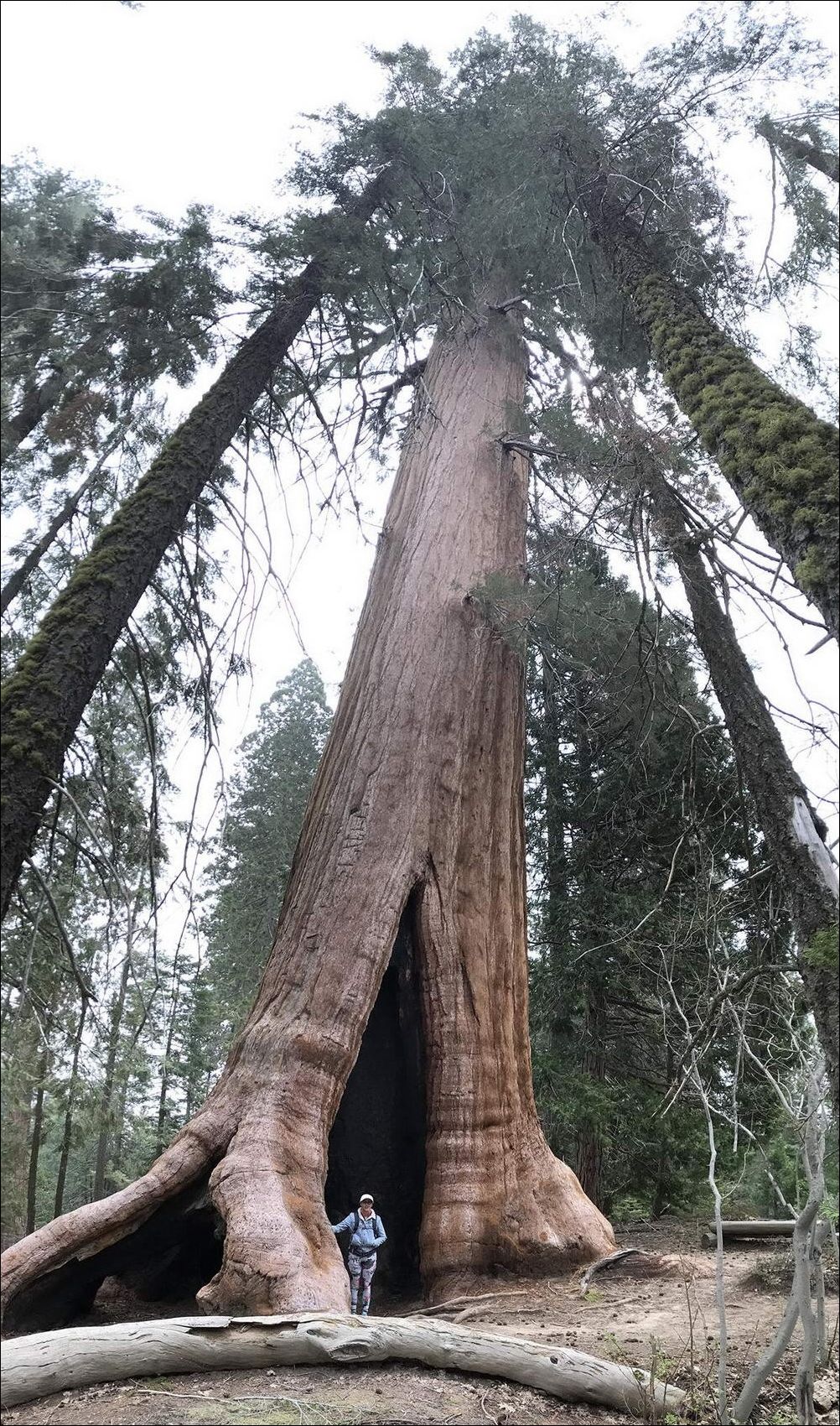 фото приколы