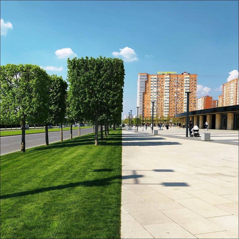 фото приколы