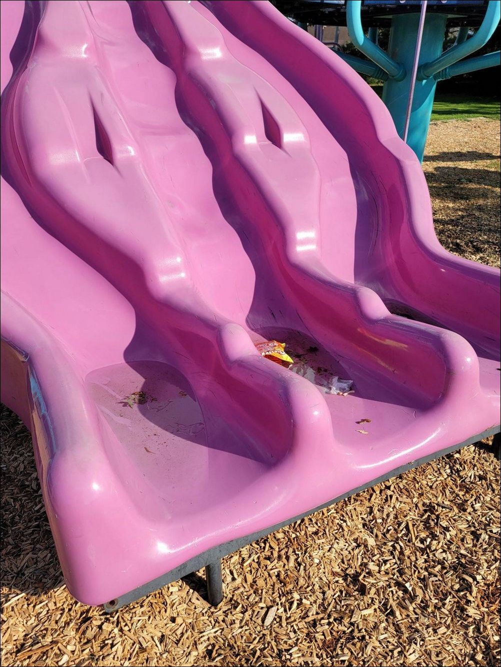 фото приколы