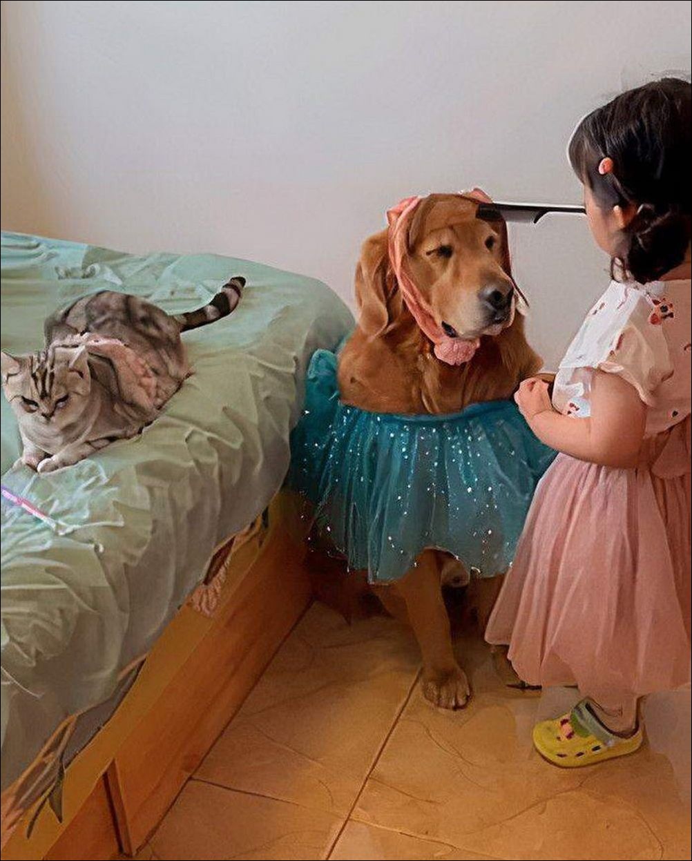 фото приколы