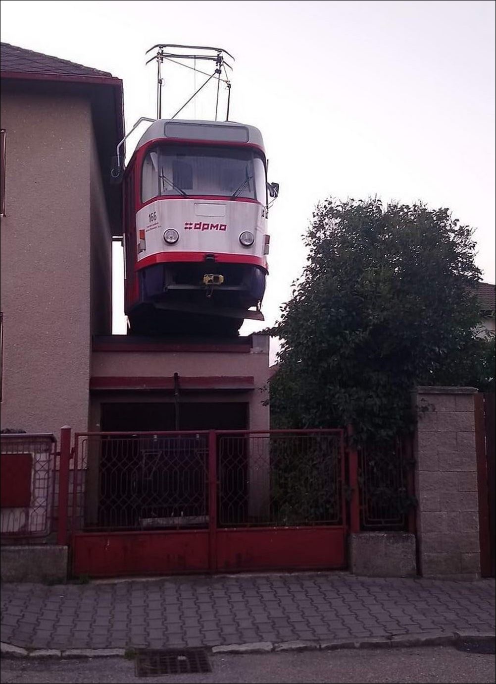 фото приколы