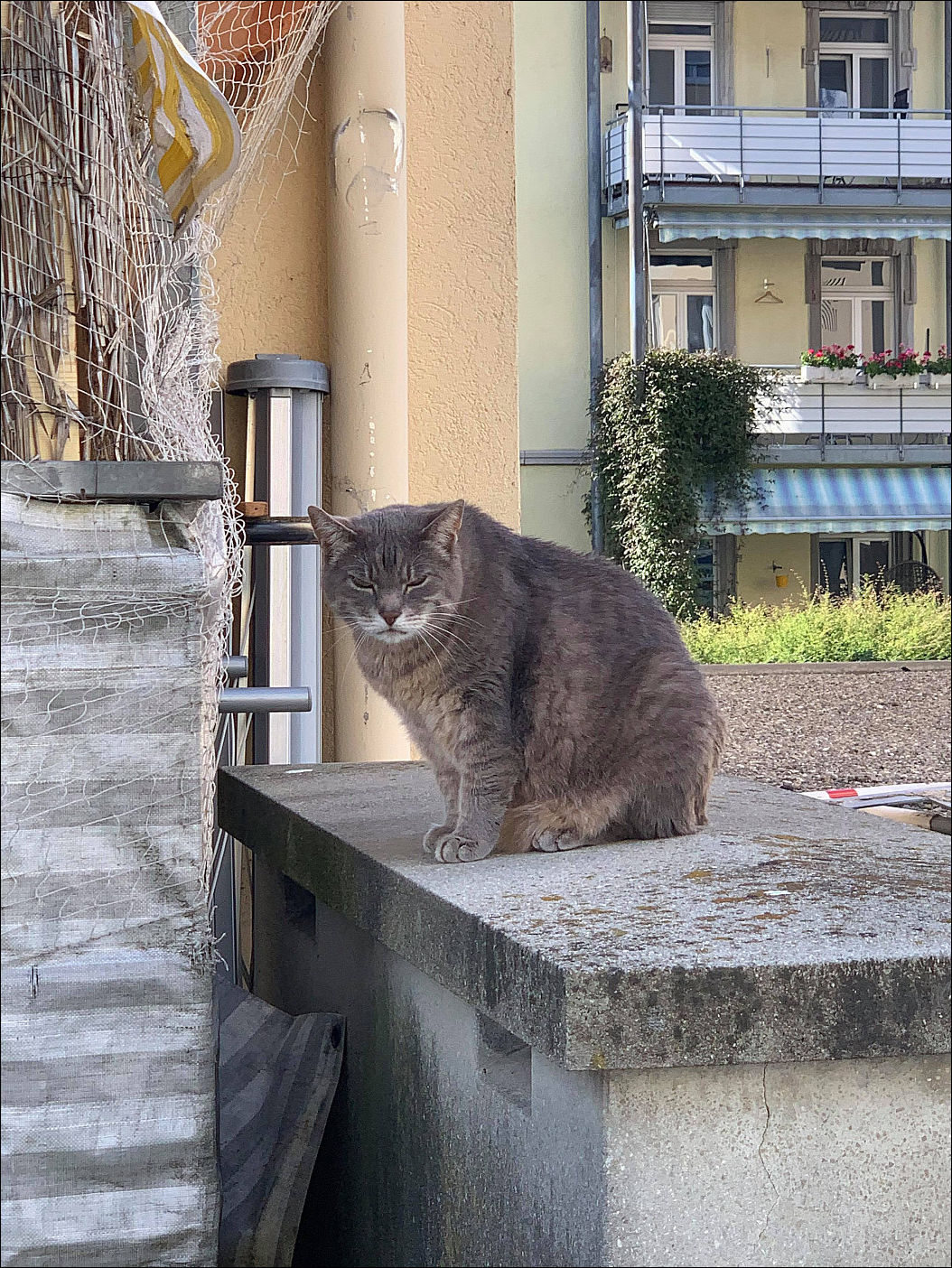 фото приколы