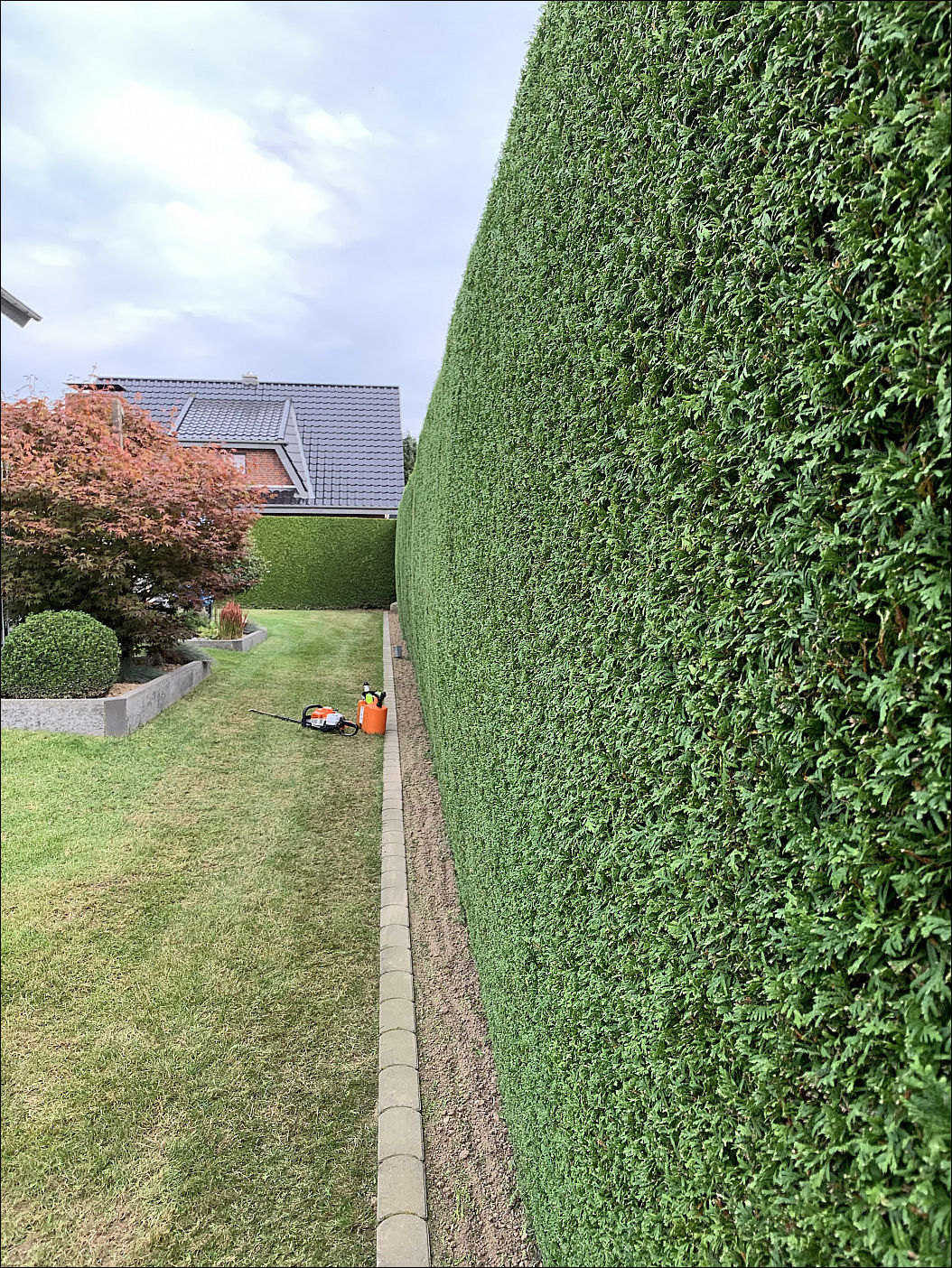 фото приколы