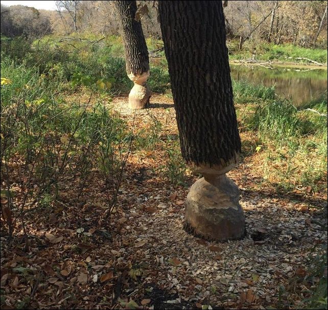 фото приколы