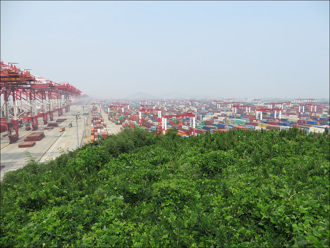 фото приколы