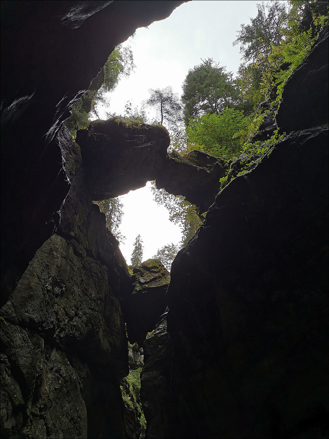 фото приколы