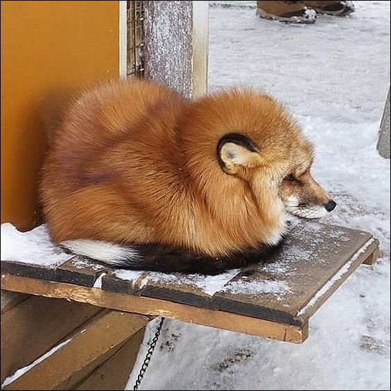 фото приколы