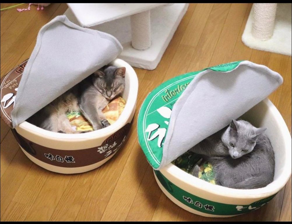 фото приколы