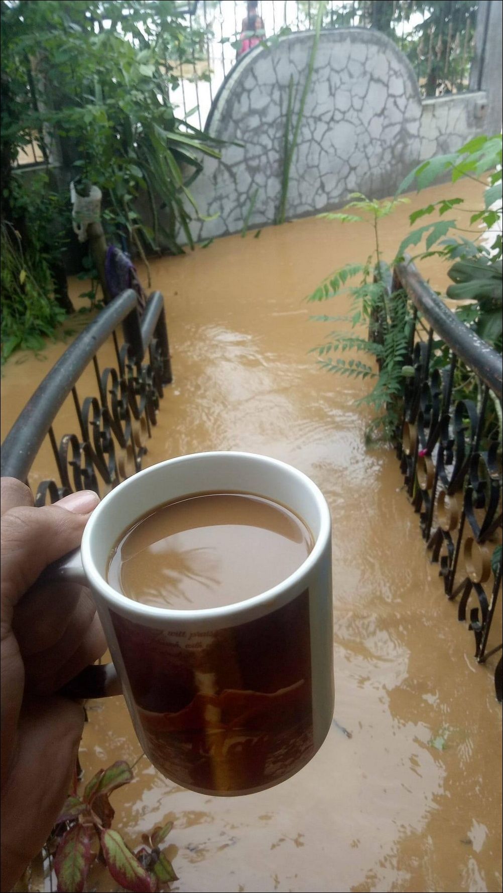 фото приколы