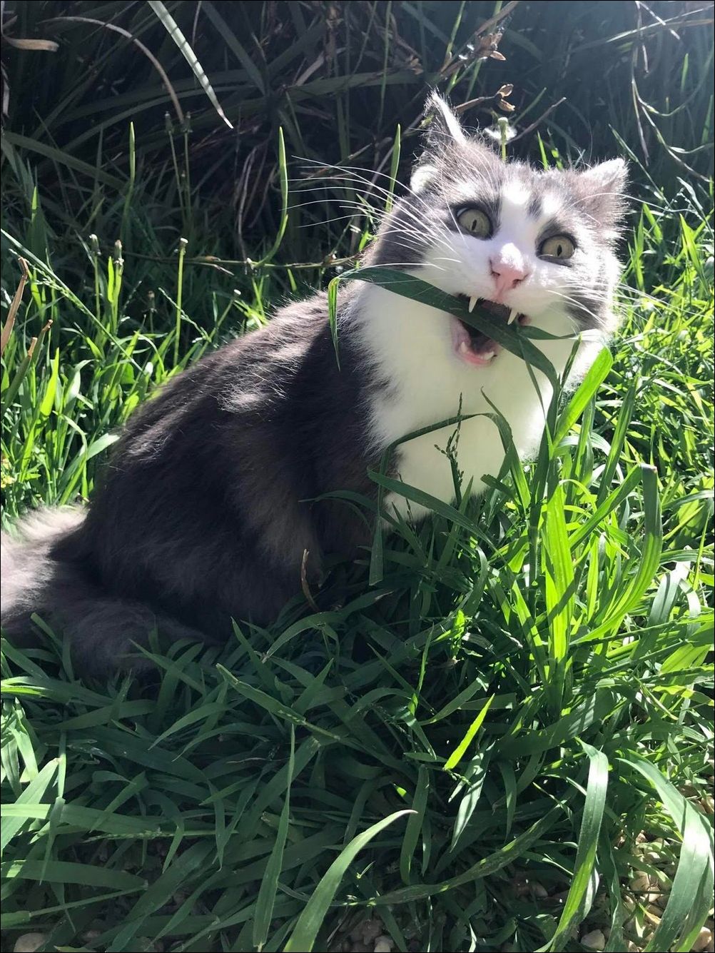 фото приколы