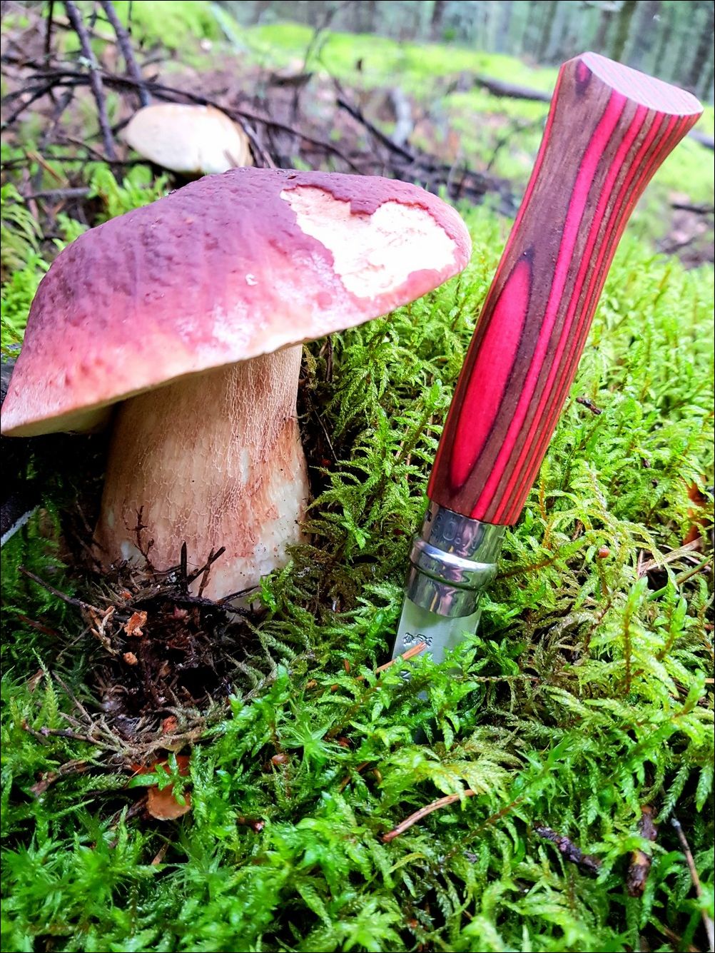 фото приколы