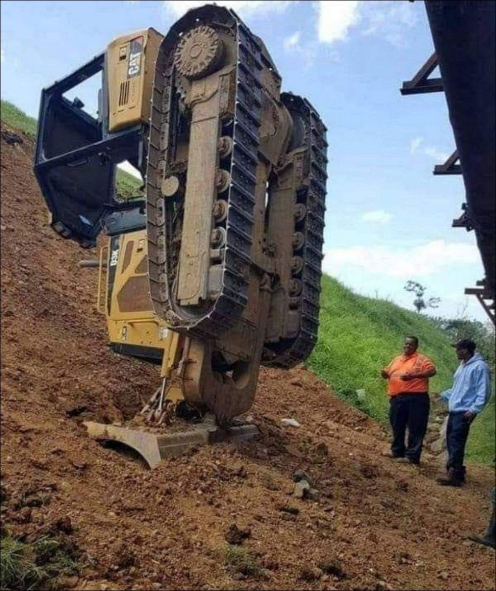 фото приколы