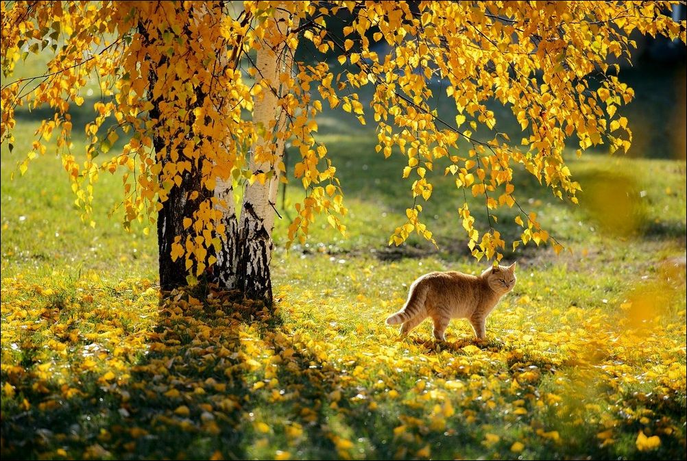 фото приколы