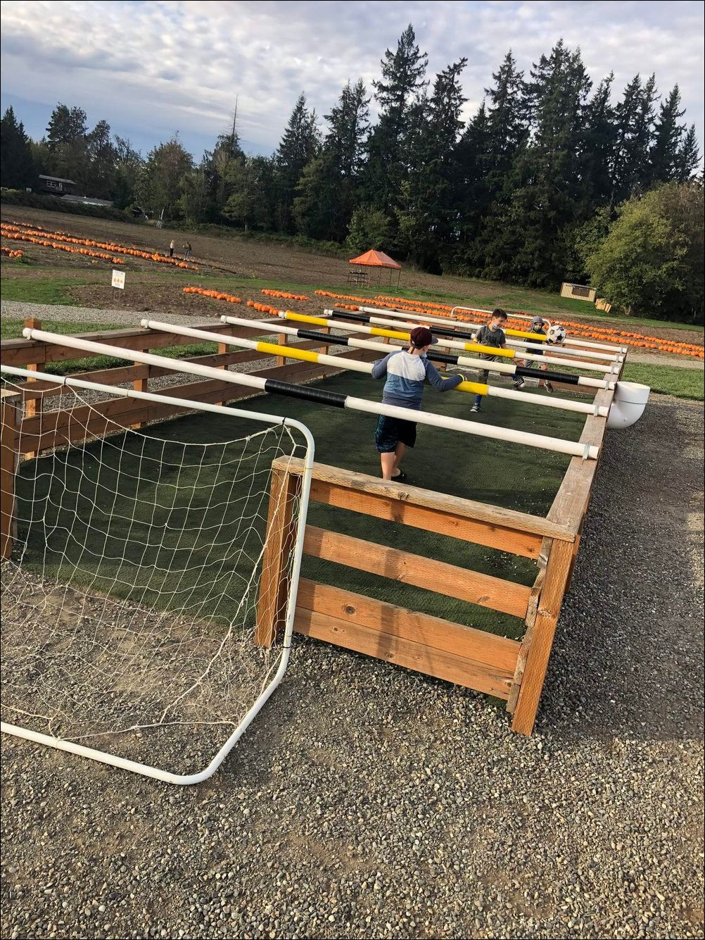 фото приколы