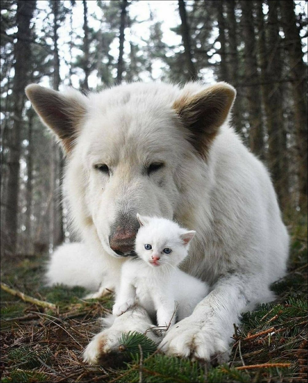 фото приколы