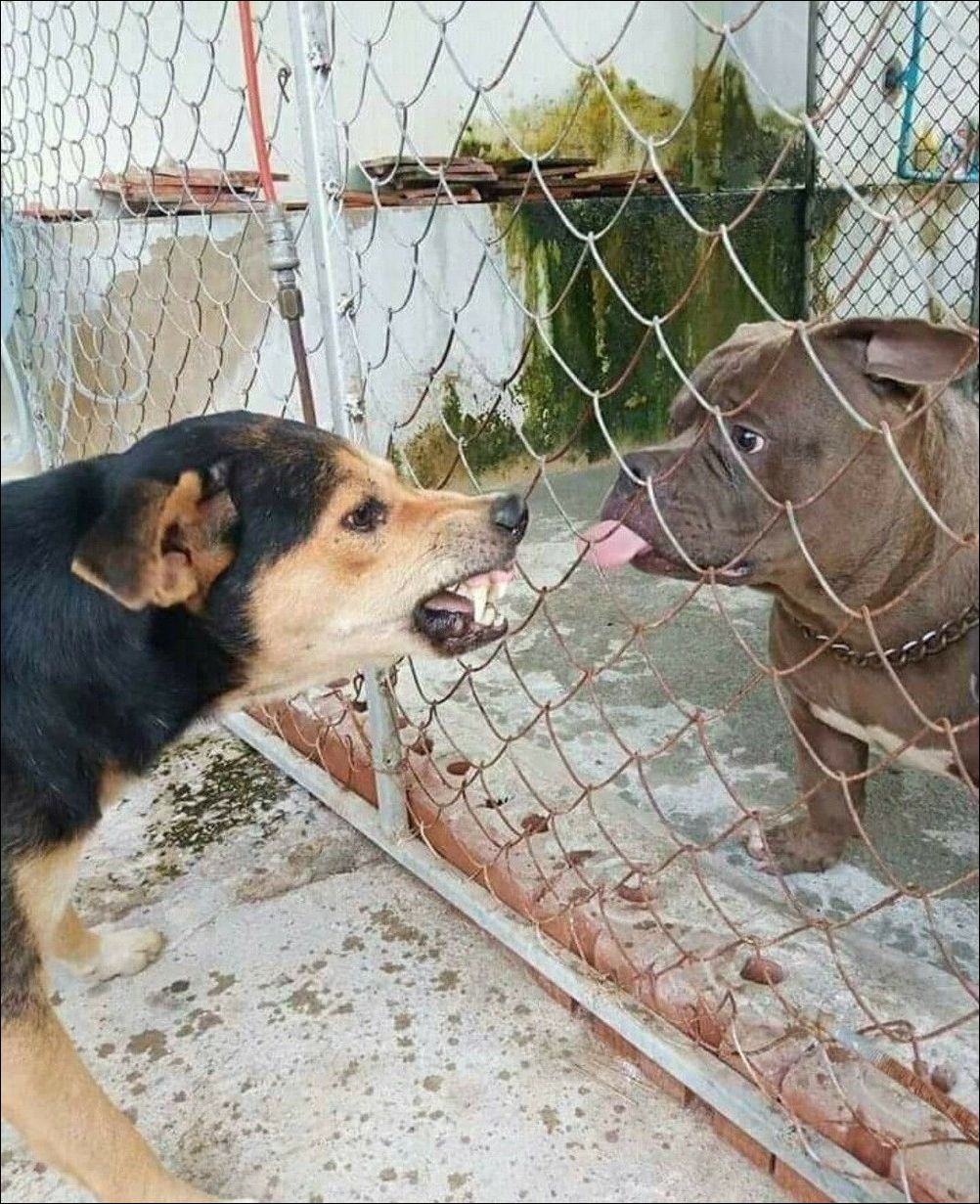 фото приколы