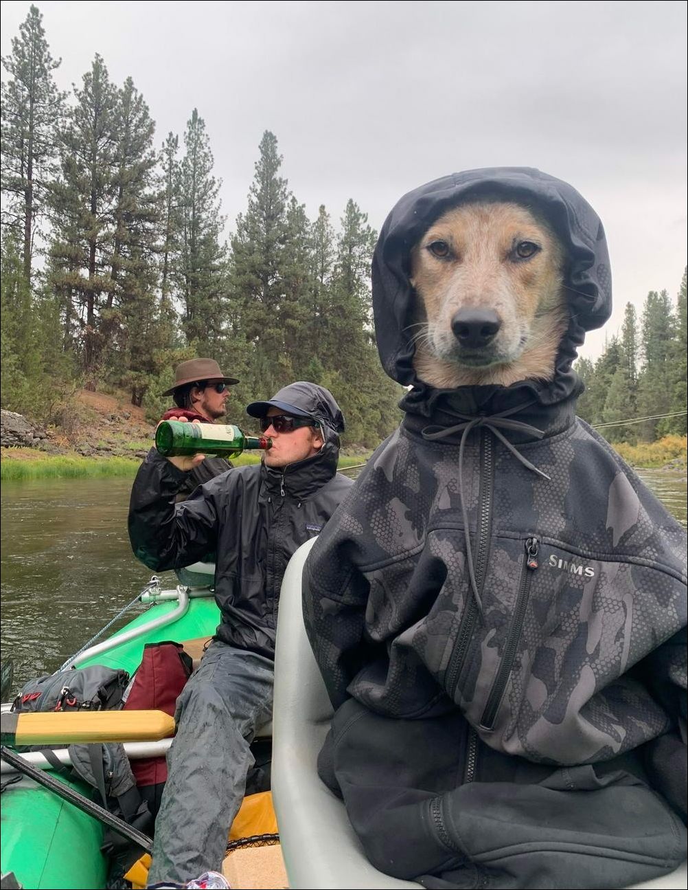 фото приколы