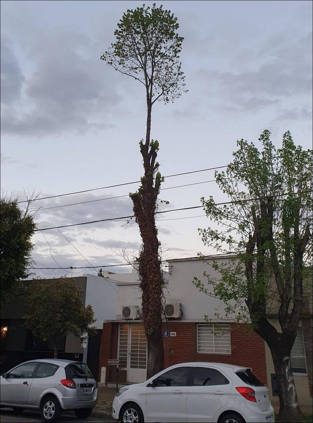 фото приколы