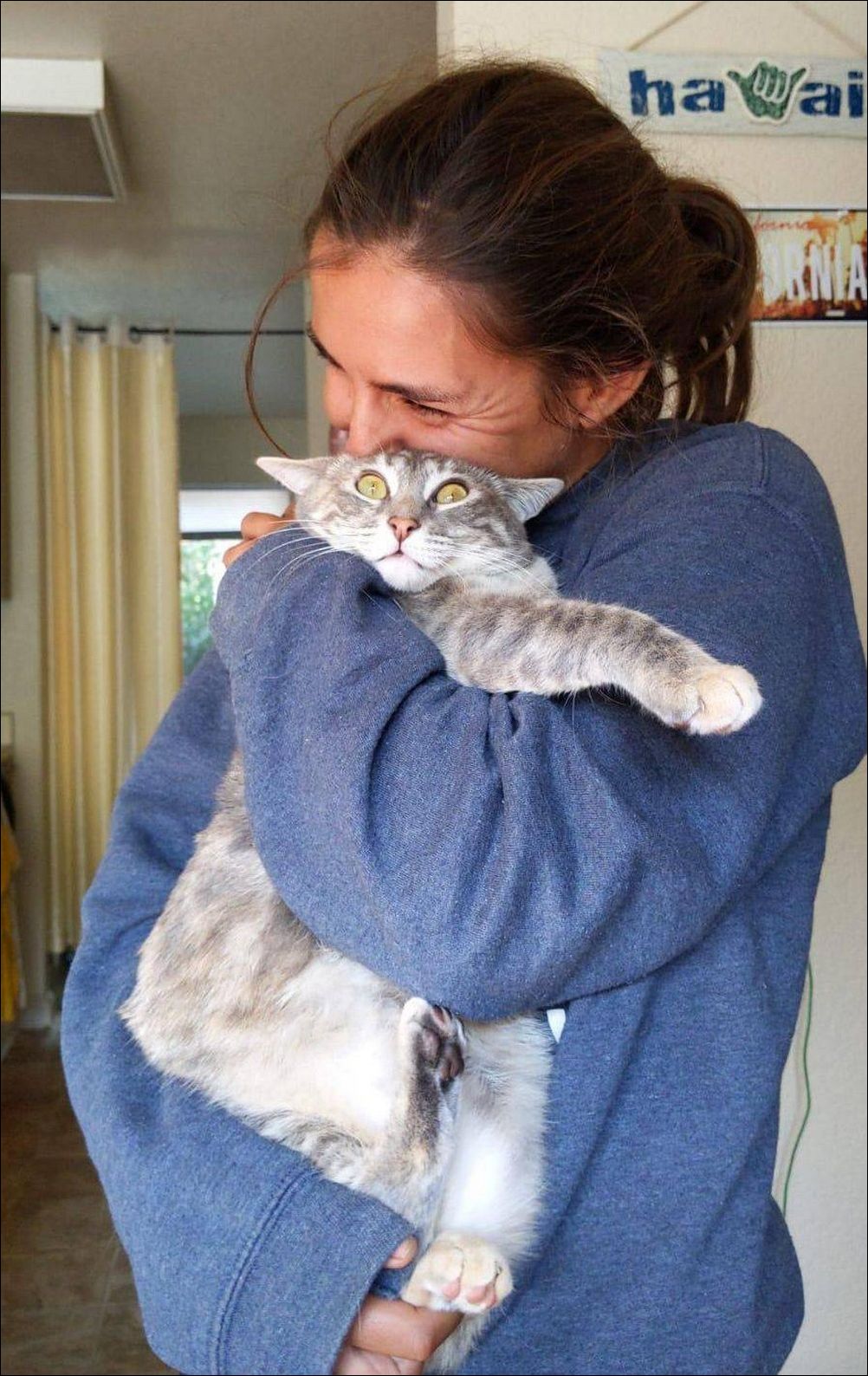 фото приколы