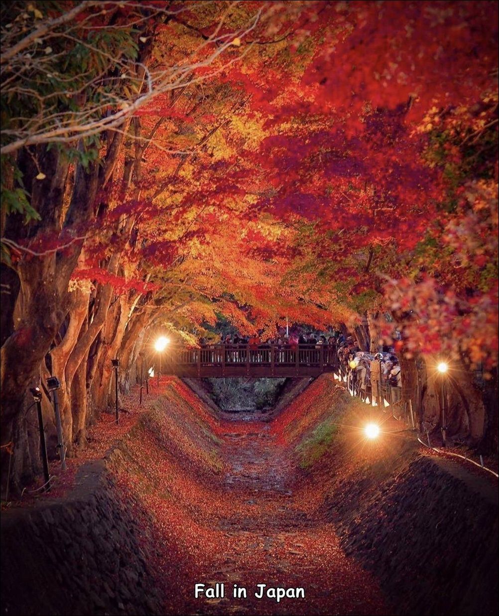 фото приколы