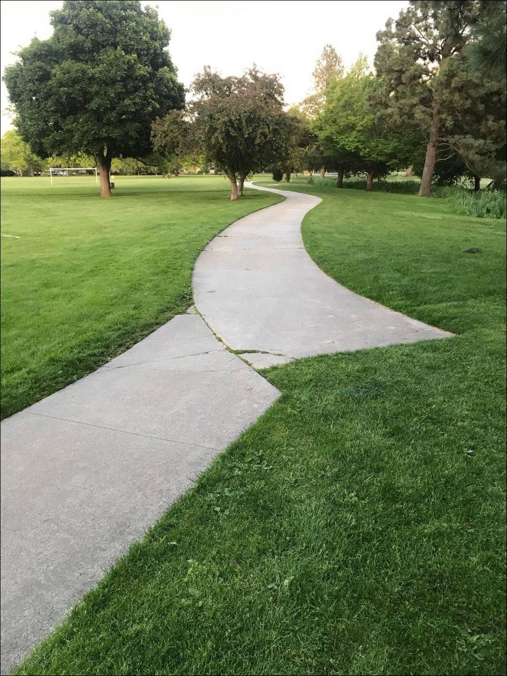 фото приколы