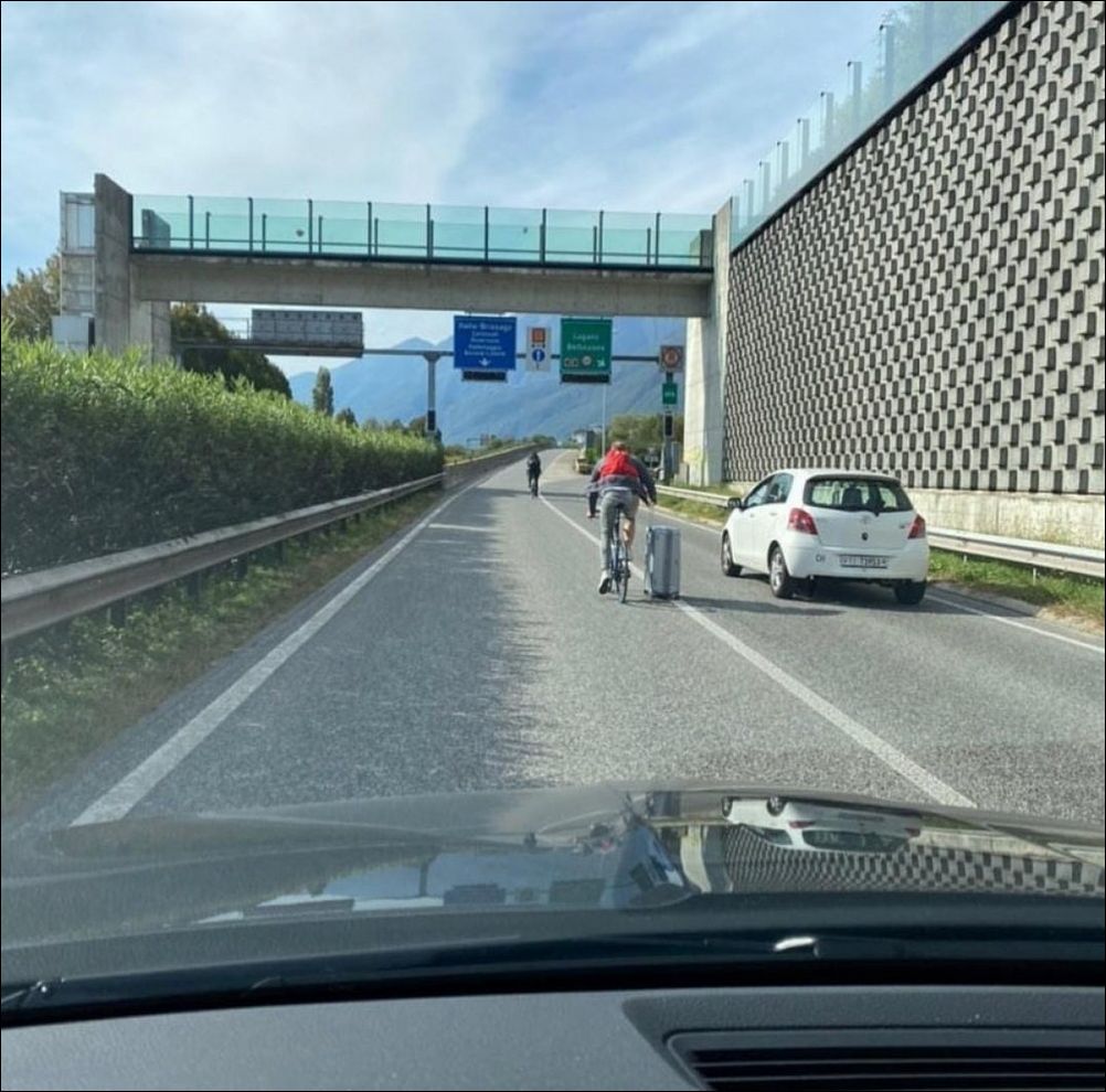 фото приколы