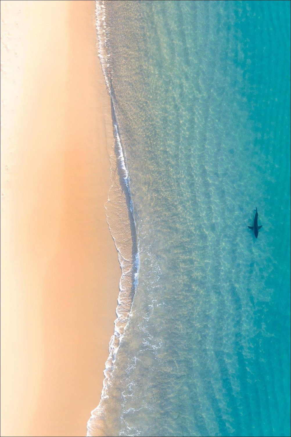 фото приколы