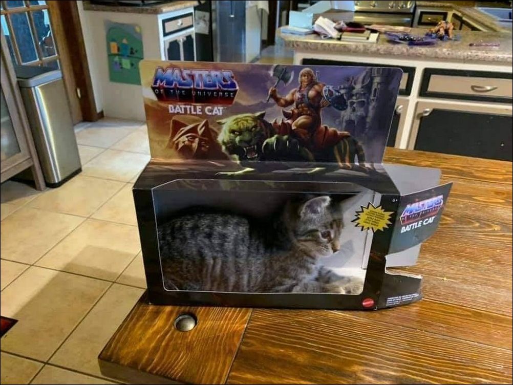 фото приколы