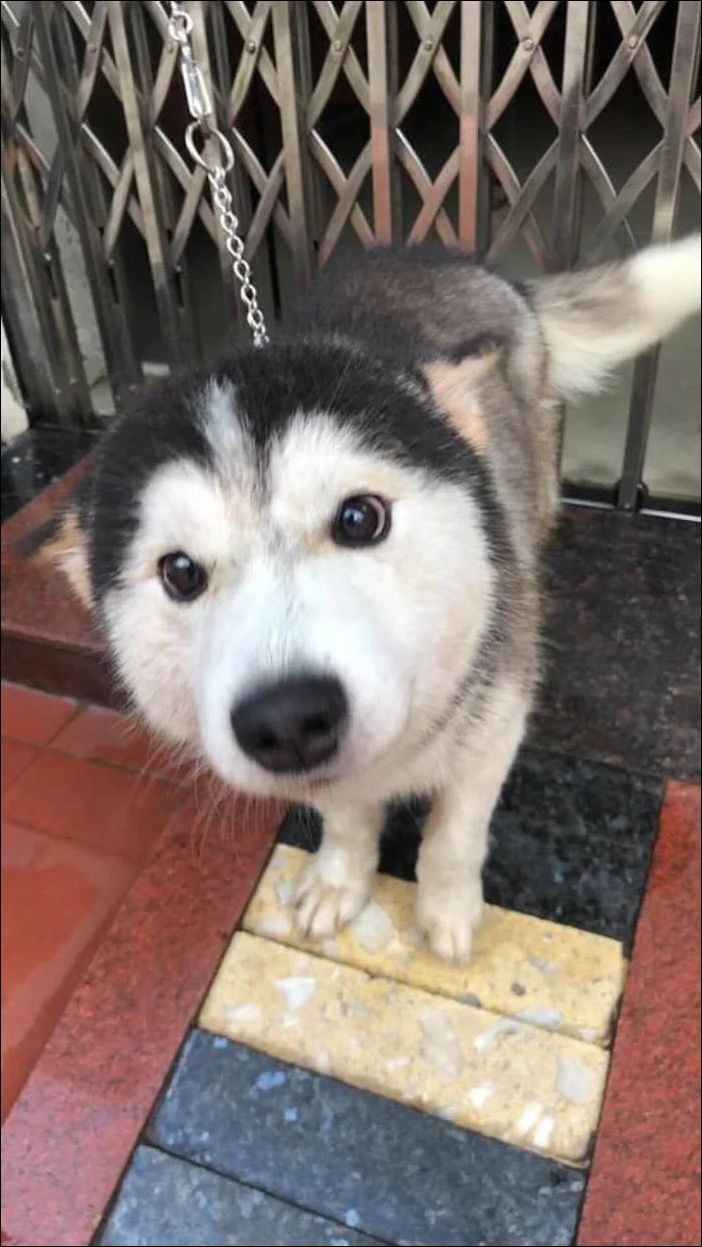 фото приколы