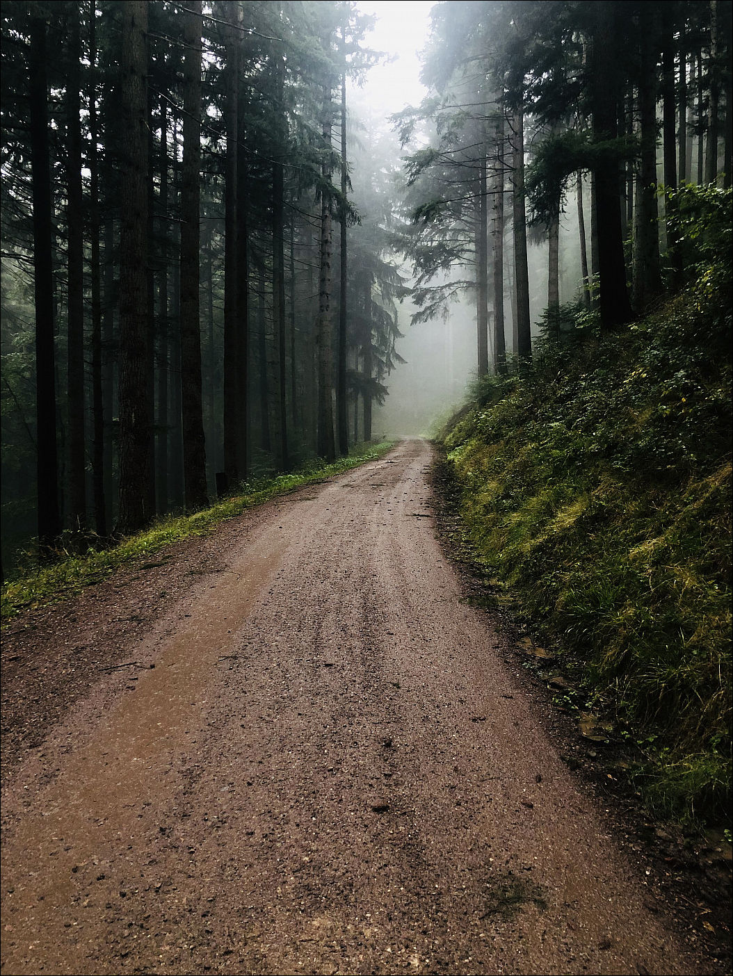 фото приколы