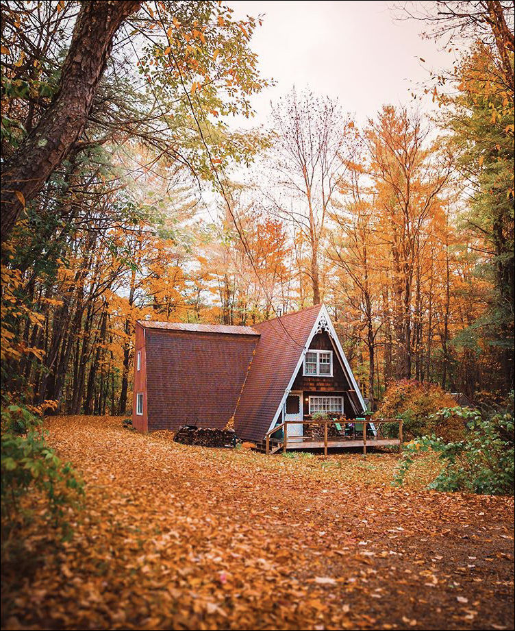 фото приколы