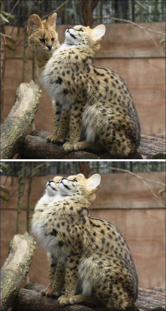 фото приколы