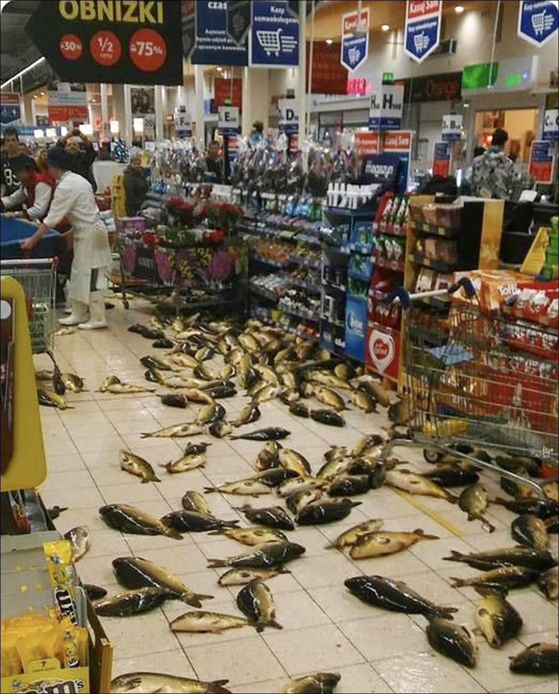 фото приколы