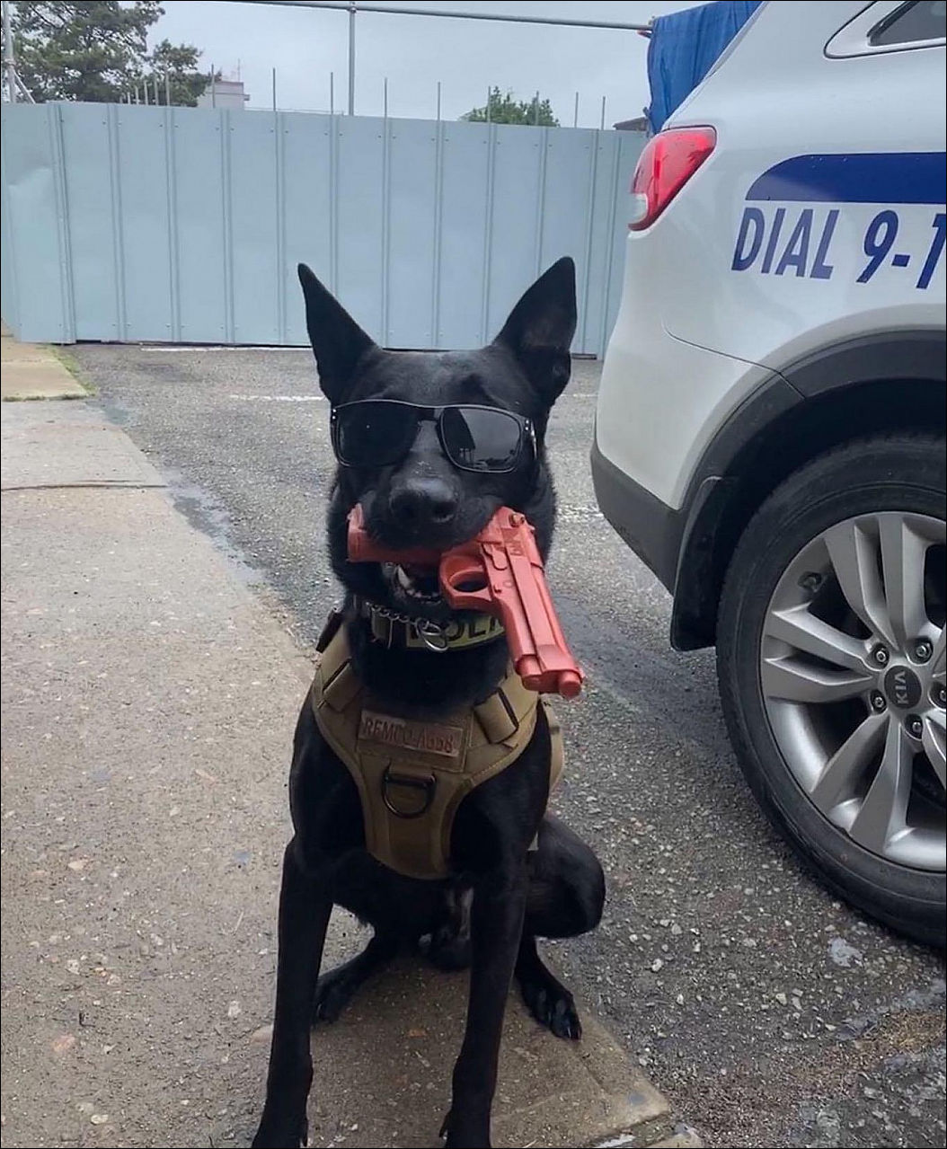 фото приколы