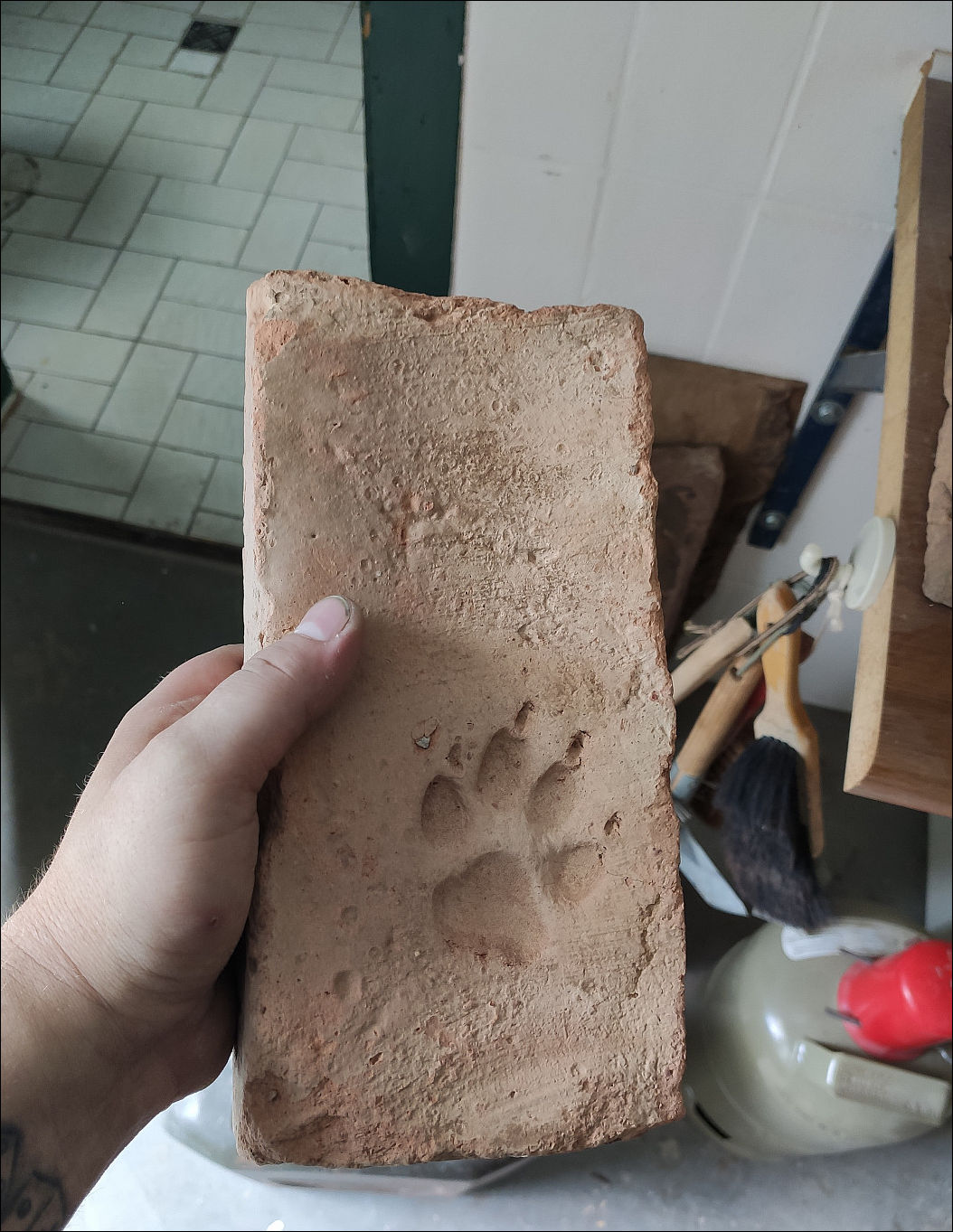 фото приколы